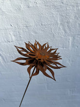 Blomster med lang stilk