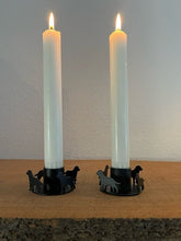 MY stager med Labrador