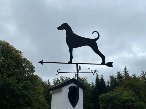 Vejr Dobermann