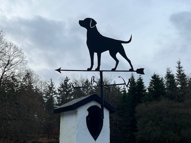 Vejr Labrador Formel 1